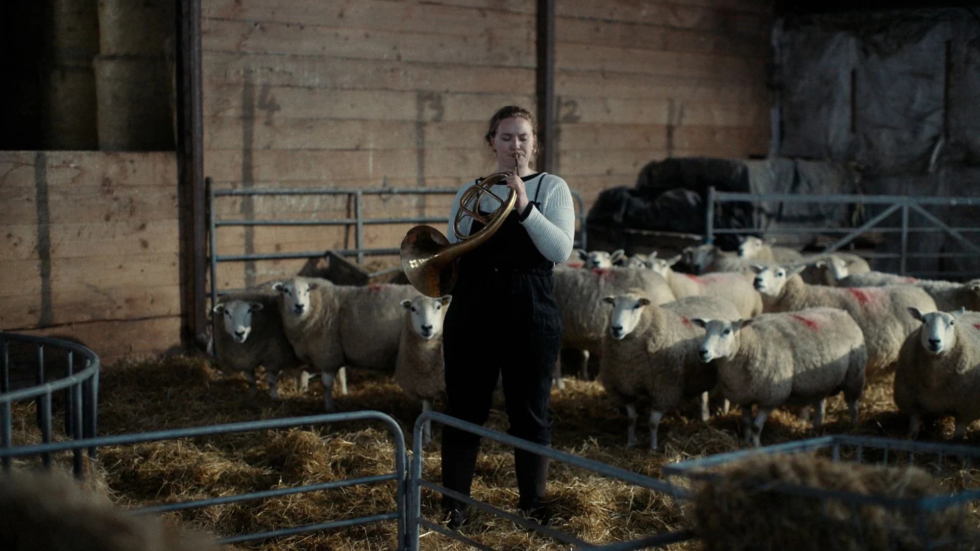 RUARUM Film Club Presents: Notes From Sheepland, directed by Cara Holmes