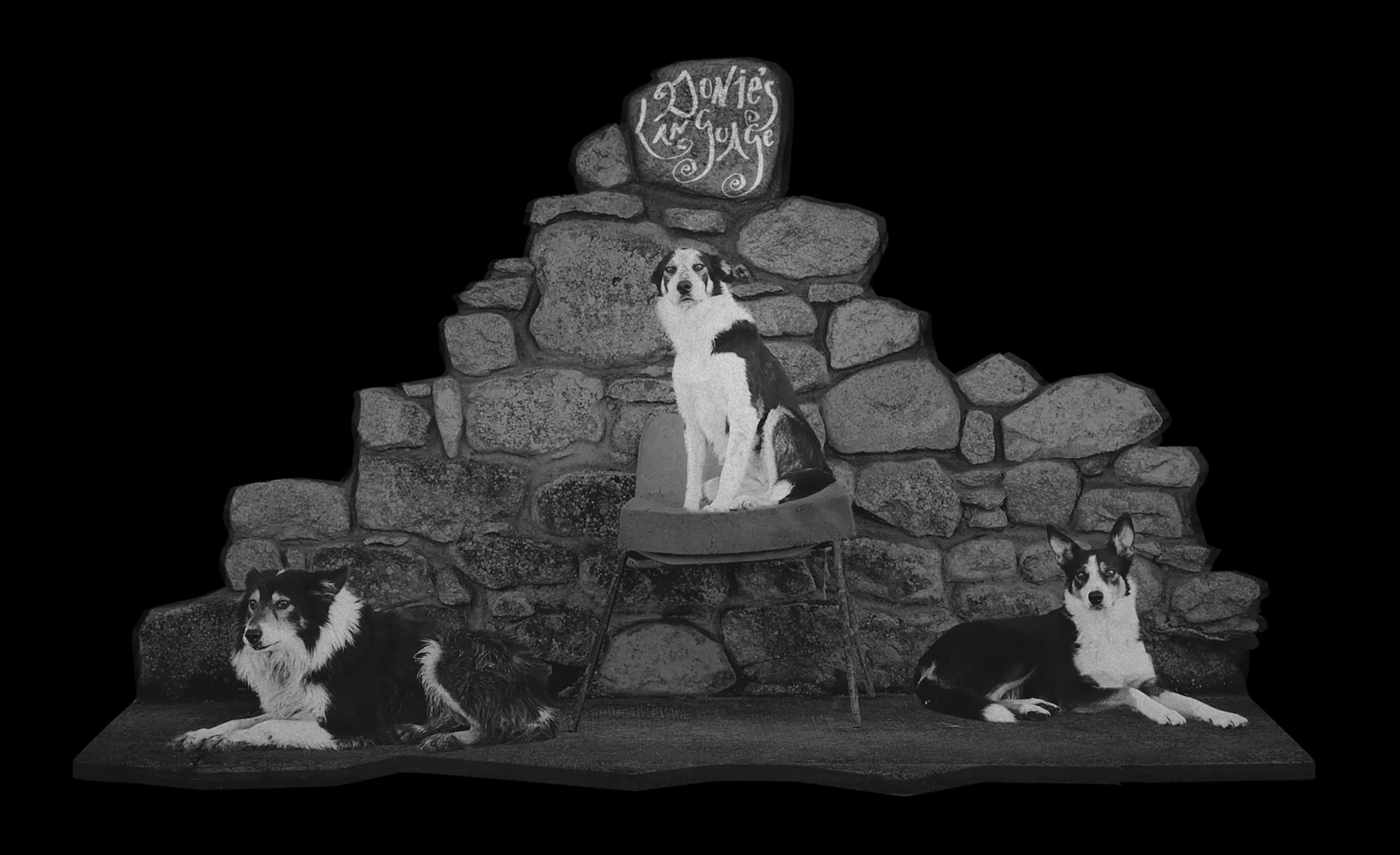 The Collie, The Cheviot & The Crouched Skeleton